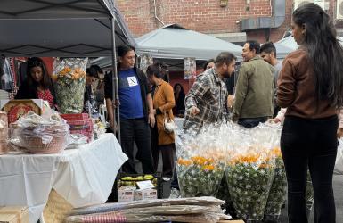 एनवाईसी तिहार फेस्ट सम्पन्न